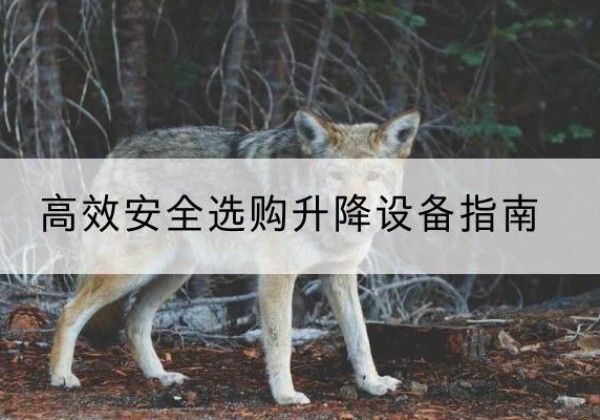 洛南升降货梯厂家推荐-*安全选购升降设备指南