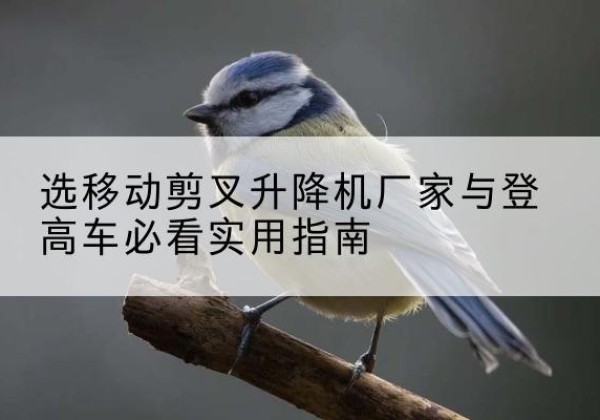 洛南电动升降机厂家-选移动剪叉升降机厂家与登高车必看实用指南