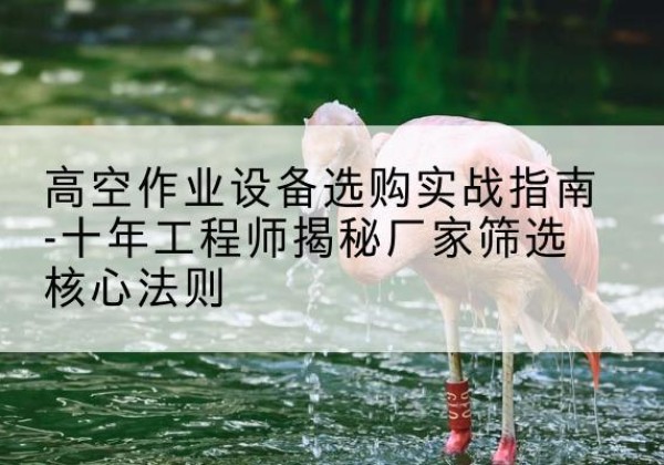 洛南剪叉式升降机厂家-高空作业设备选购实战指南-十年工程师揭秘厂家筛选核心法则